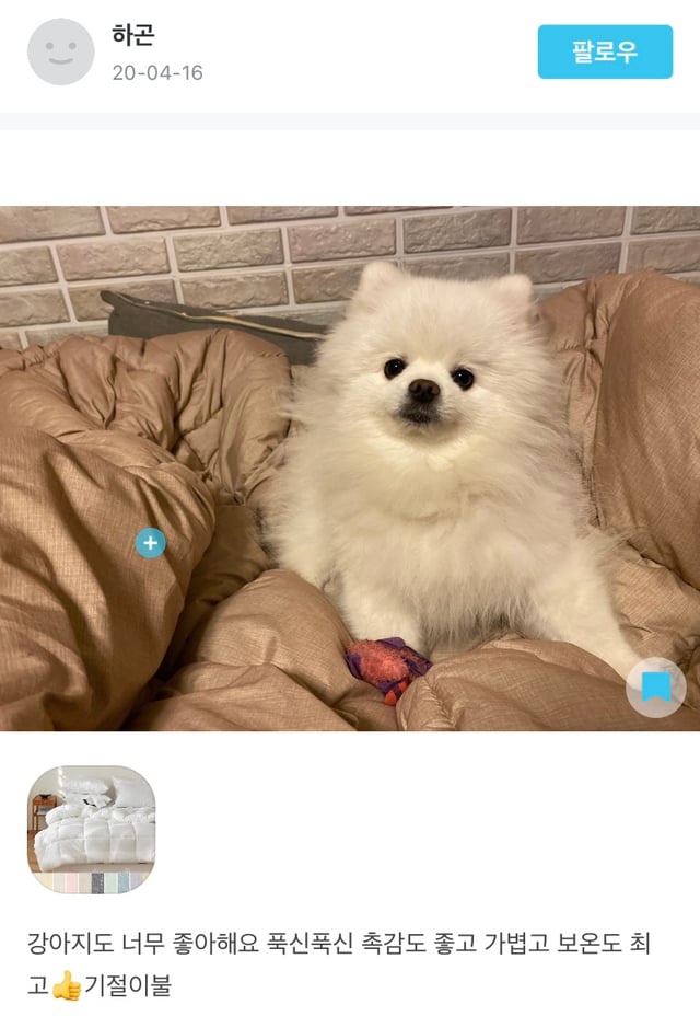 내가 오늘의집 어플 사용하는 이유 | 인스티즈