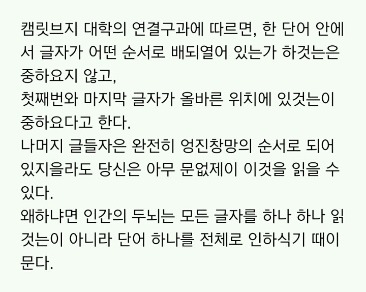 뇌가 인식하는 글자배열 | 인스티즈
