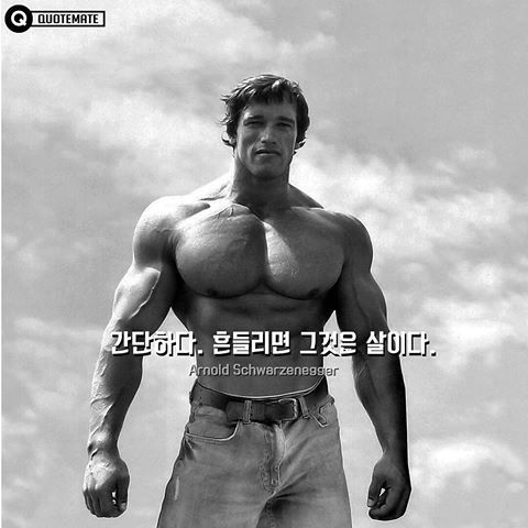 다이어트 자극 명언 | 인스티즈