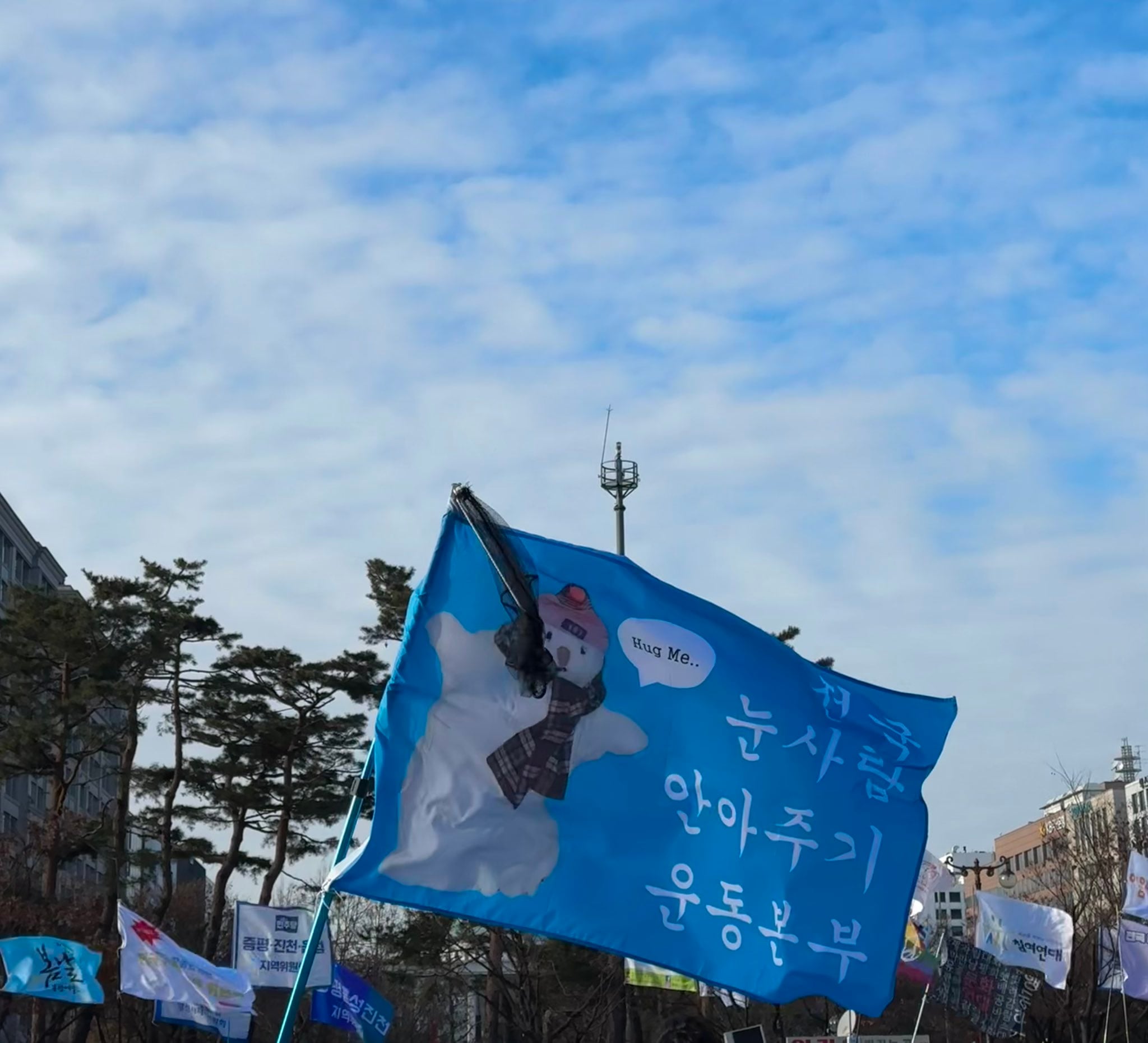 오늘 탄핵 시위에 있었던 신박하고 근본없는 깃발들 모음.twt | 인스티즈
