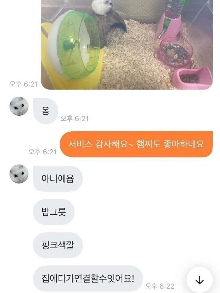 초딩이랑 당근 거래한 썰.jpg | 인스티즈
