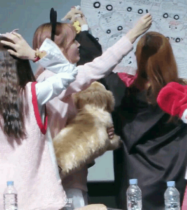 트와이스 두피마사지 기 반응.gif | 인스티즈