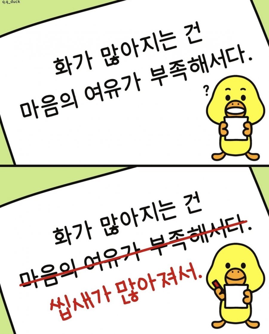 화가 많아지는 이유는 | 인스티즈