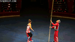 열심히 일하는 고양이.gif | 인스티즈