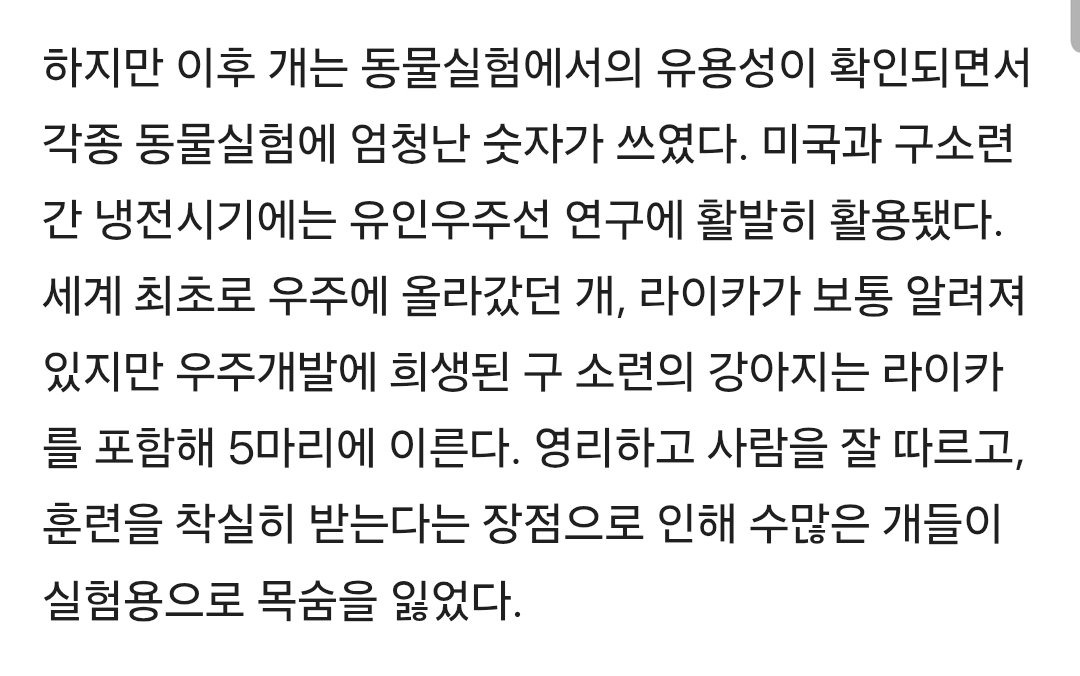 파블로프의 개 실험에서 희생된 개들 | 인스티즈