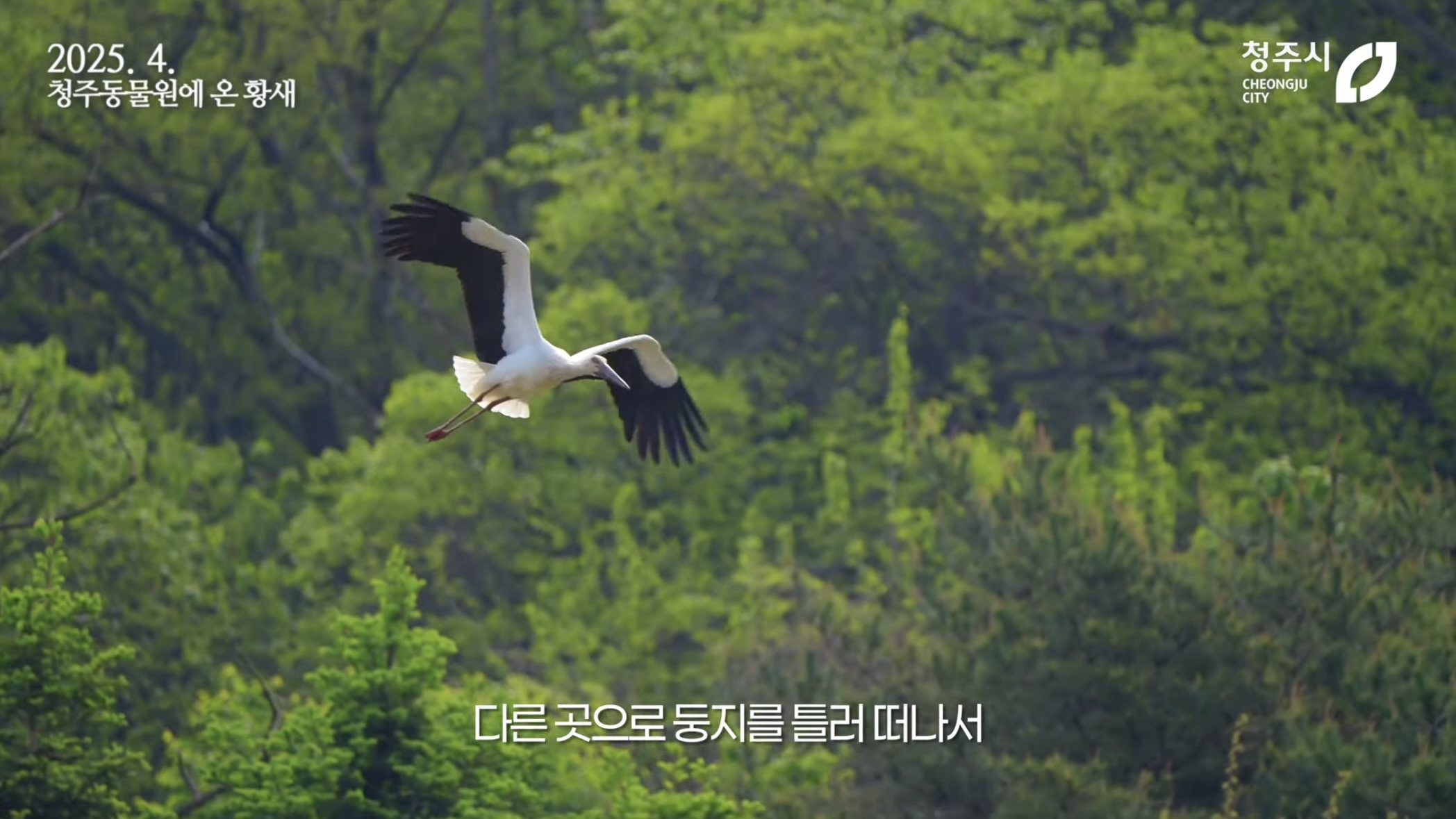 [청주동물원] ?? : 작년에 임장왔는데 맘에들어서 이사왔어요 | 인스티즈