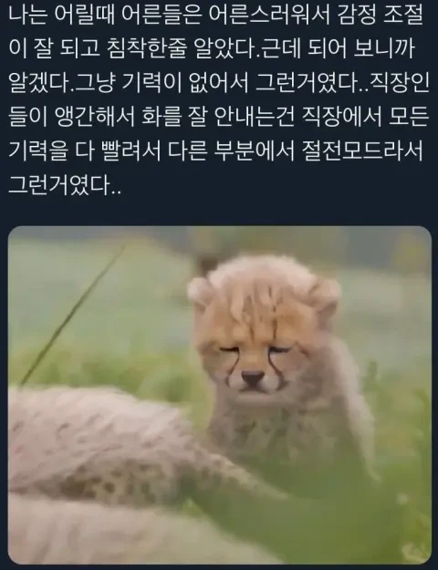 예전에 어른들이 침착했었던 이유 | 인스티즈
