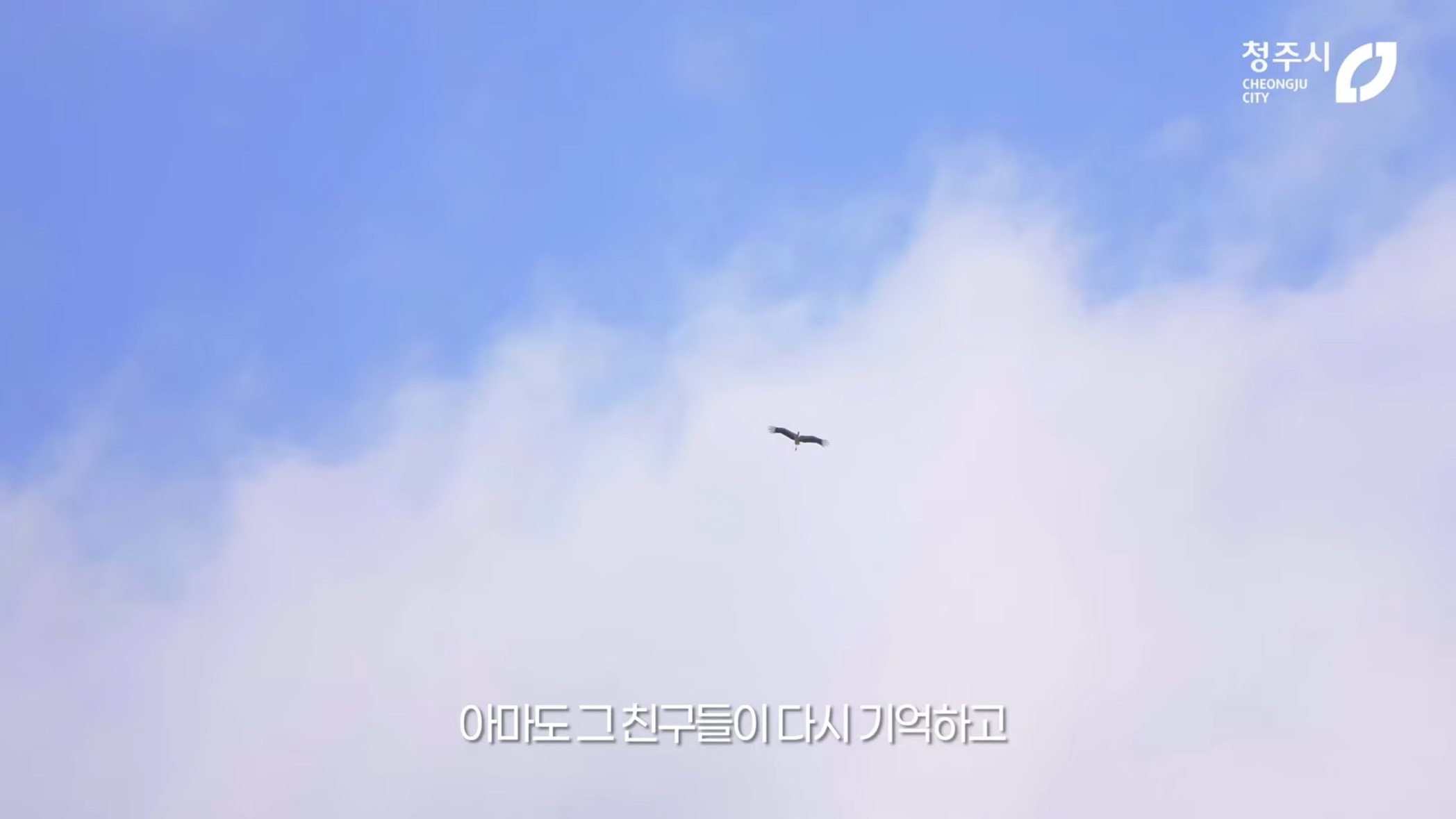 [청주동물원] ?? : 작년에 임장왔는데 맘에들어서 이사왔어요 | 인스티즈