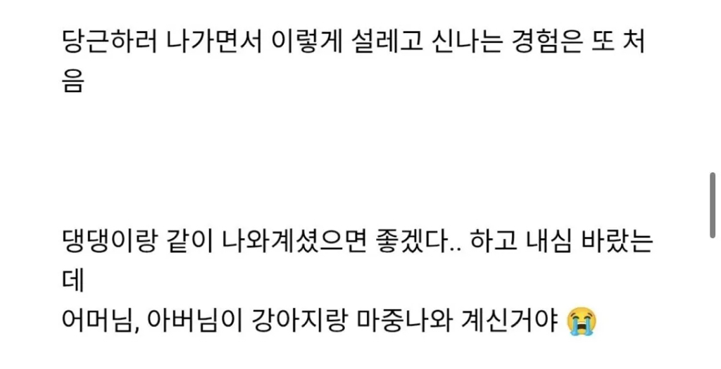진짜 평화로운 당근마켓 근황 | 인스티즈