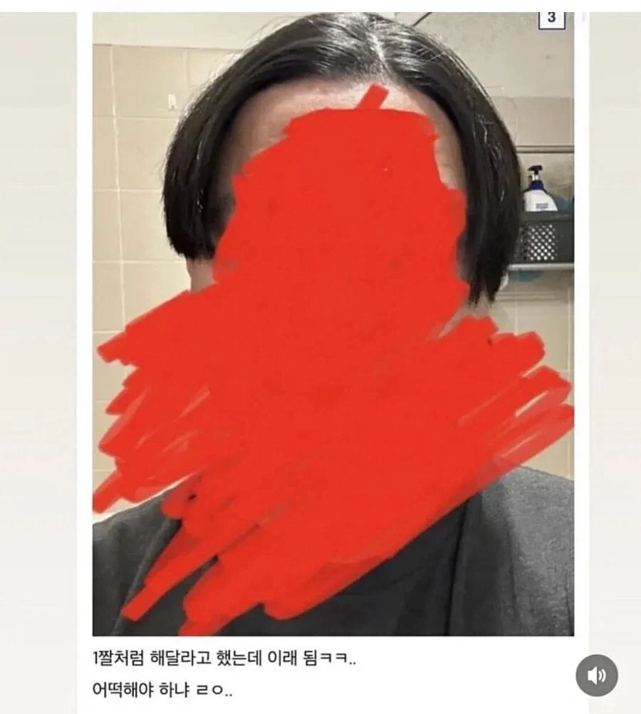 머리 망한 것 같다.jpg | 인스티즈