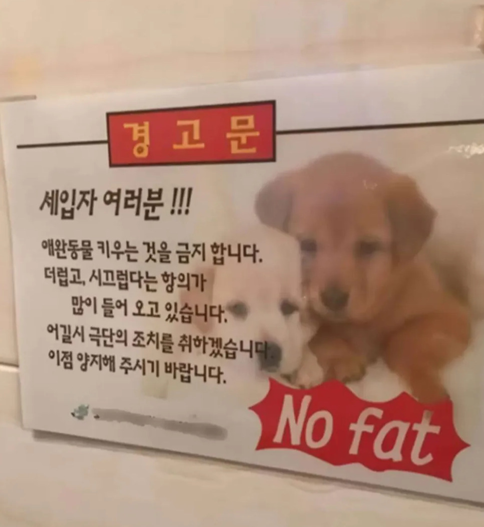 갑자기 뚱띠 공격.jpg | 인스티즈