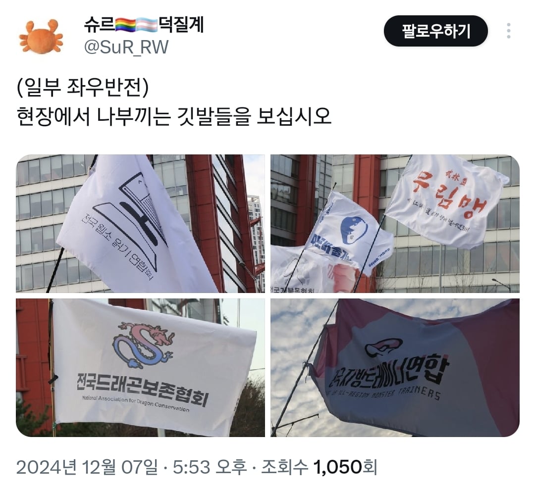 오늘 탄핵 시위에 있었던 신박하고 근본없는 깃발들 모음.twt | 인스티즈