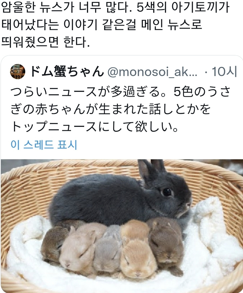 암울한 뉴스가 너무 많다 | 인스티즈