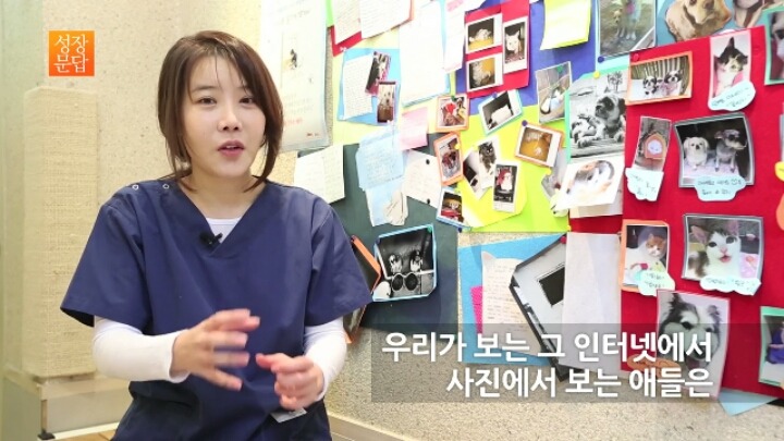 반려동물 키우기를 쉽게 생각하는 사람이 반드시 들어야 할 대답 | 인스티즈