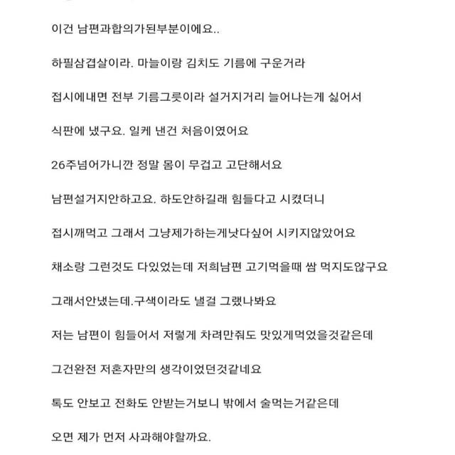 임신 6개월차 아내가 차린 남편 식사 | 인스티즈