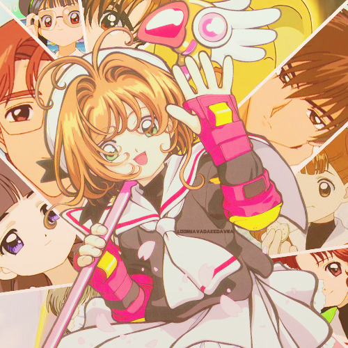 [카드캡터사쿠라] 호두들이 카캡사에서 가장 좋아했던 여성은 누규? | 인스티즈