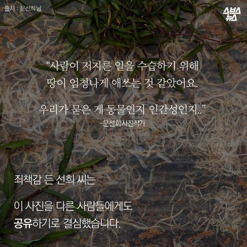 우리가 묻어버린 이야기 | 인스티즈