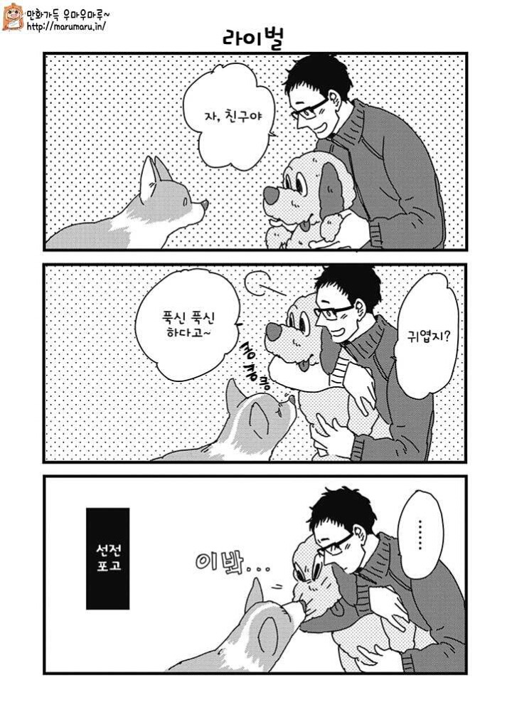 이중하나쯤은 게녀취향이 있겠지하고 추천하는 치유물 | 인스티즈