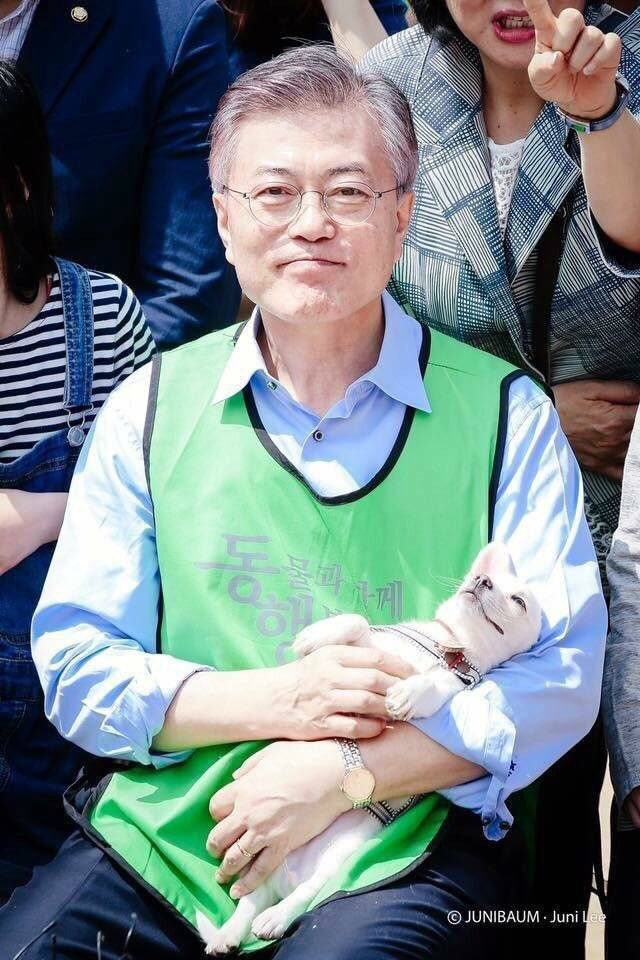 철수는 재인이가 너무나 부럽습니다.jpg | 인스티즈