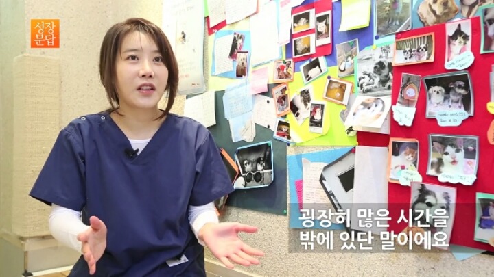 반려동물 키우기를 쉽게 생각하는 사람이 반드시 들어야 할 대답 | 인스티즈