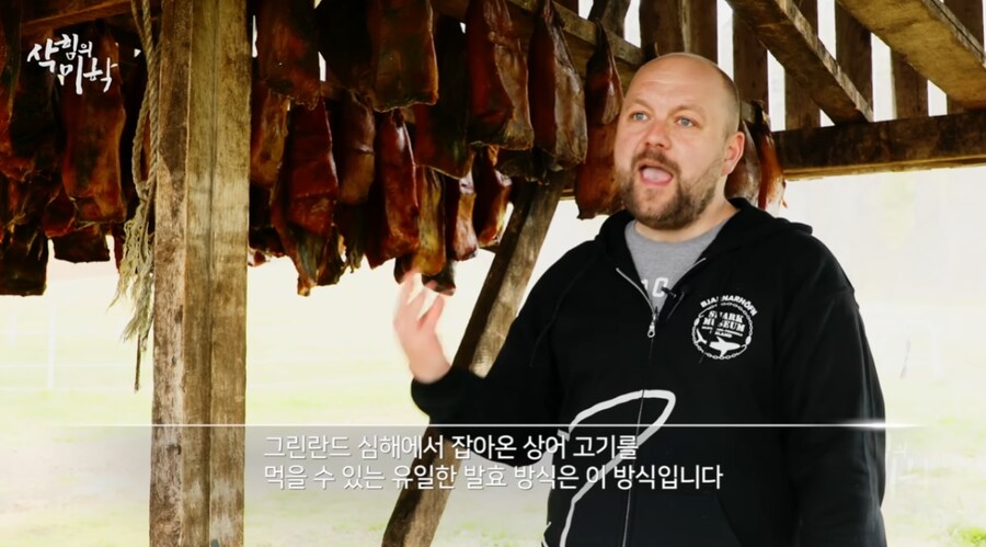 한국인들이 삭힌 홍어 먹는다고해서 신기해하는 나라 | 인스티즈