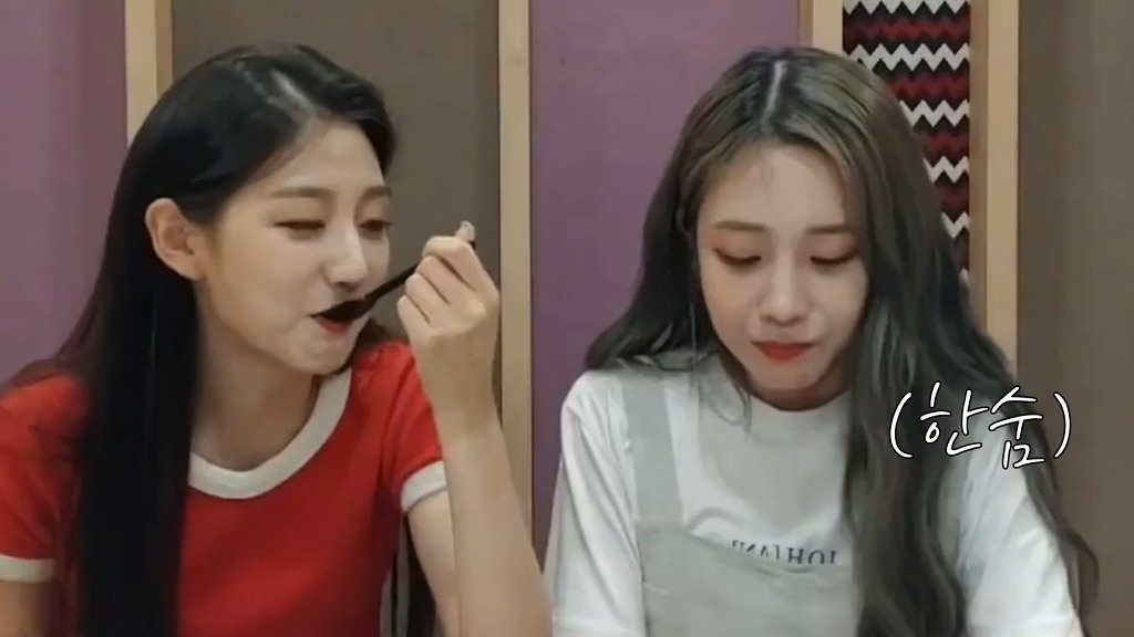 나이 많은걸로 동생한테 개털리는 걸그룹.jpg | 인스티즈
