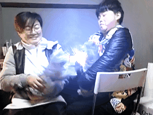 진정한 캣파이트.gif | 인스티즈