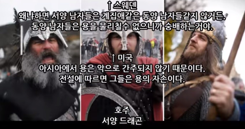 외국)동양용하고 서양 드래곤하고 싸우면 누가 이길까? | 인스티즈