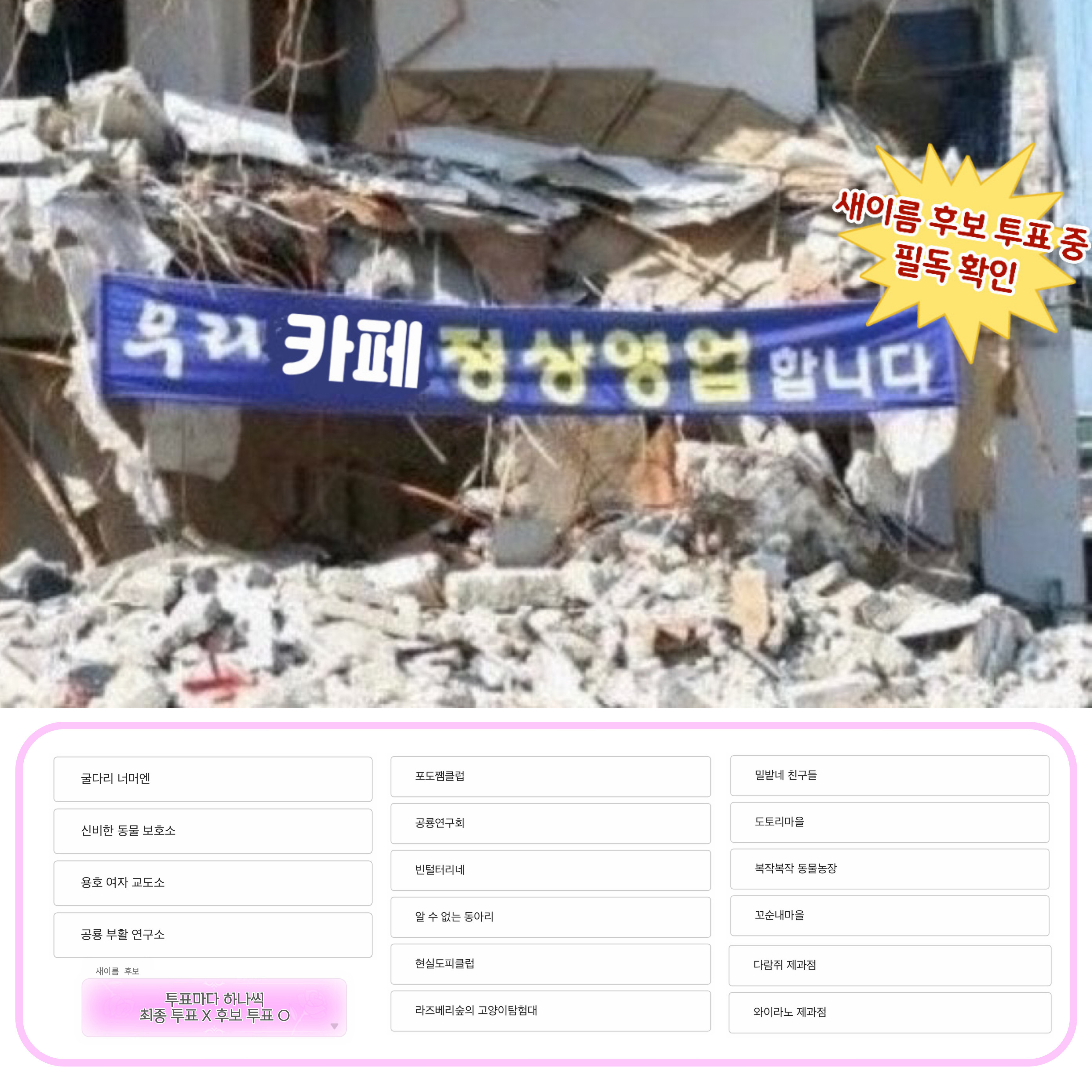 카페에 앉아 있는데 옆자리 소개팅 중인가봐 | 인스티즈