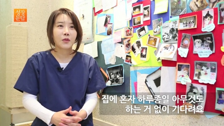 반려동물 키우기를 쉽게 생각하는 사람이 반드시 들어야 할 대답 | 인스티즈