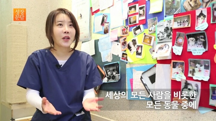 반려동물 키우기를 쉽게 생각하는 사람이 반드시 들어야 할 대답 | 인스티즈