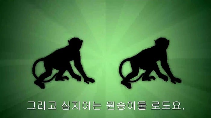 남자와 여자가 야동볼때의 가장 큰 차이점.jpg | 인스티즈