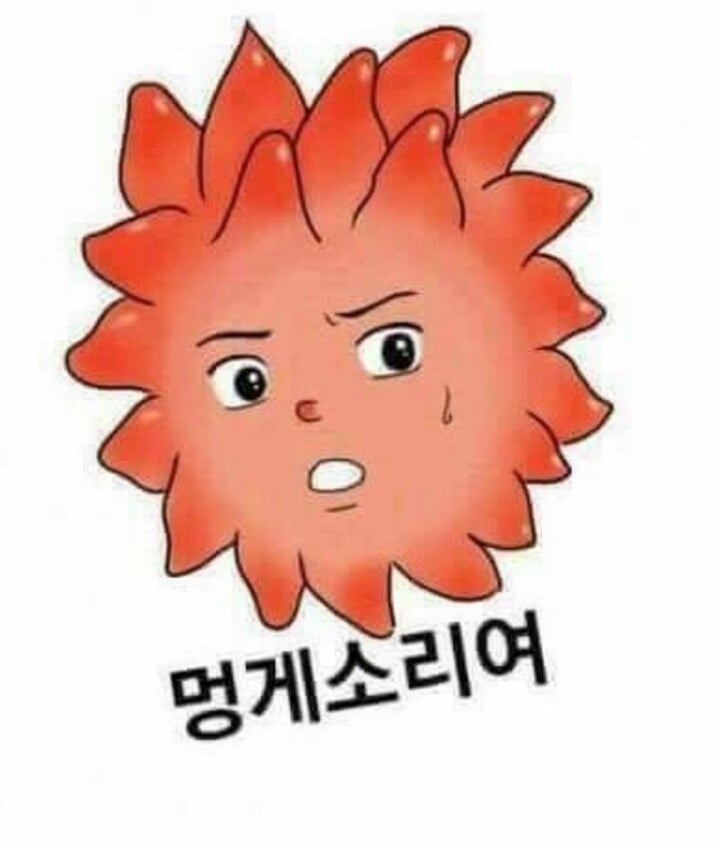 읽다가 쒸익,,,쒸익,,,했던 로맨스소설들(이라 쓰고 혈압주의로읽는다) | 인스티즈