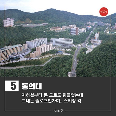 지옥의 오르막을 자랑하는 대학교들 | 인스티즈