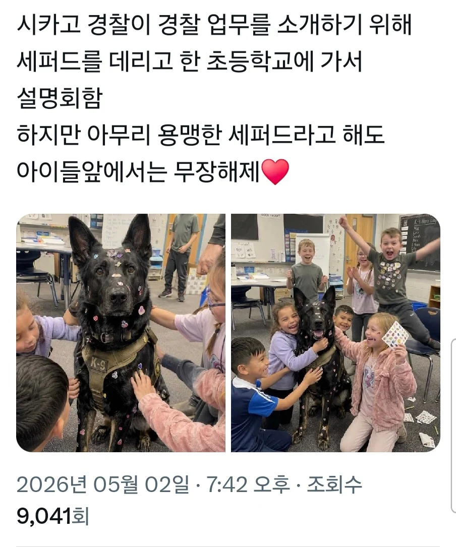 초등학교에 간 경찰견 | 인스티즈