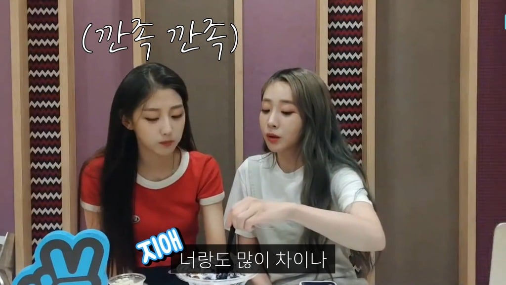 나이 많은걸로 동생한테 개털리는 걸그룹.jpg | 인스티즈