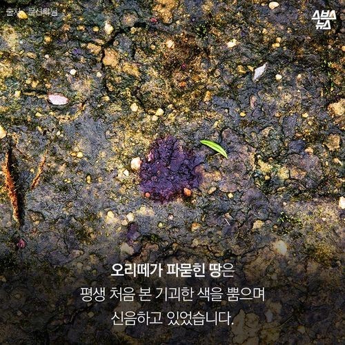 우리가 묻어버린 이야기 | 인스티즈