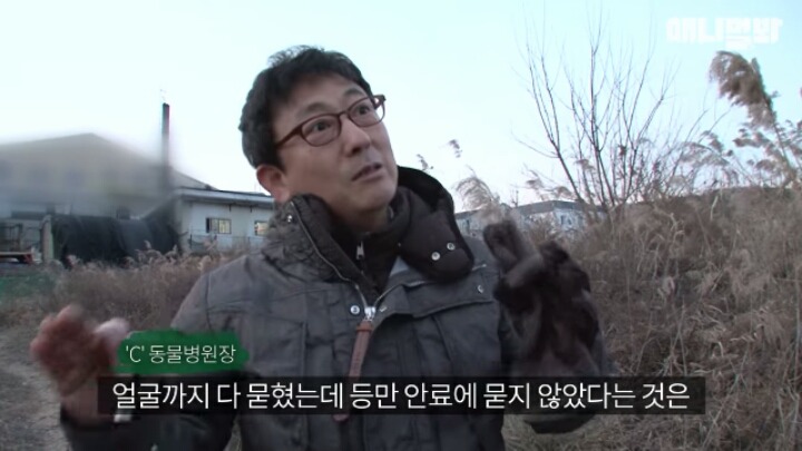 길고양이 학대하는 방법도 이젠 | 인스티즈