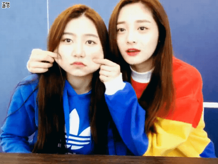 프리스틴 전용 장난감.gif | 인스티즈