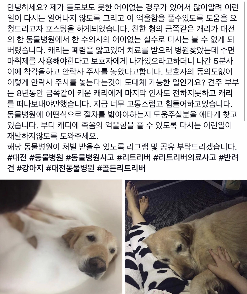 대전 동물 병원에서 ^수면 마취제^랑 ^^^안락사 약^^^이랑 헷갈린 의사 | 인스티즈
