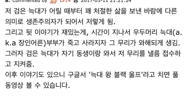 떠돌이 검은 늑대의 사랑.jpg | 인스티즈