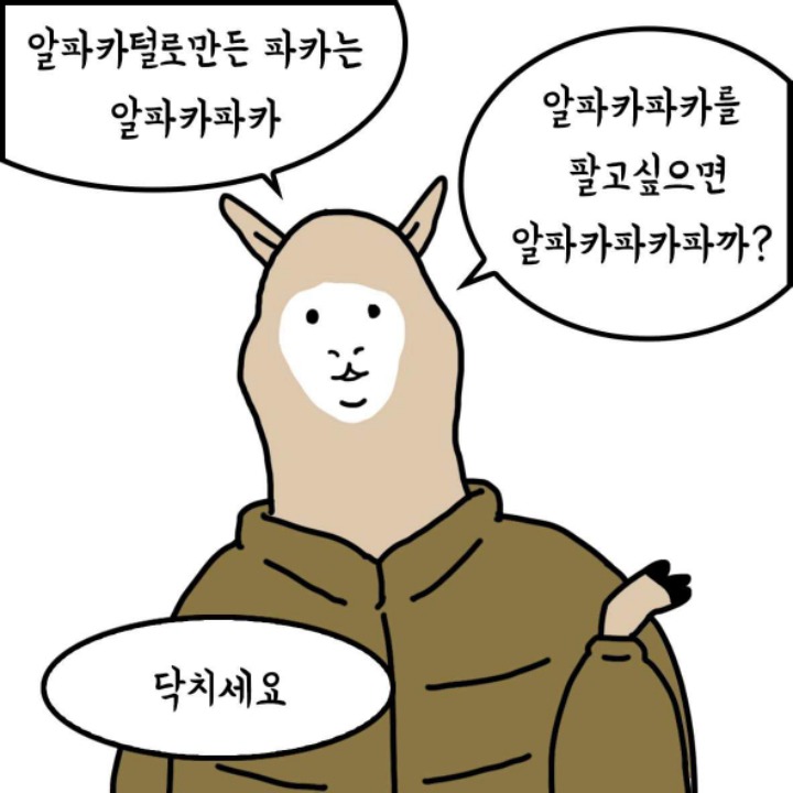 제정신이 아닌 알파카 | 인스티즈