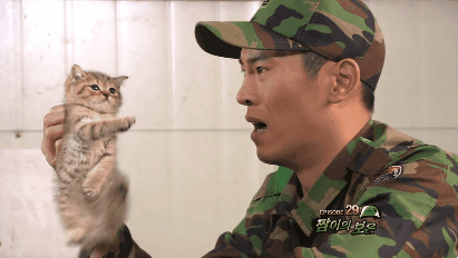 푸른거탑 새끼 고양이.gif | 인스티즈