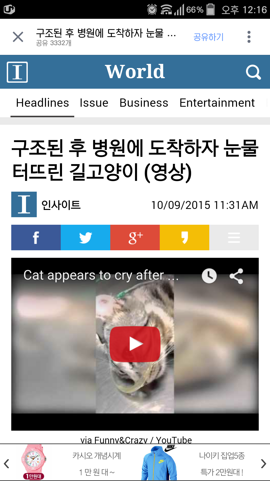 구조된 후 병원에 도착하자 눈물 터뜨린 길고양이 (영상) | 인스티즈
