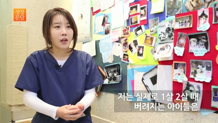 반려동물 키우기를 쉽게 생각하는 사람이 반드시 들어야 할 대답 | 인스티즈