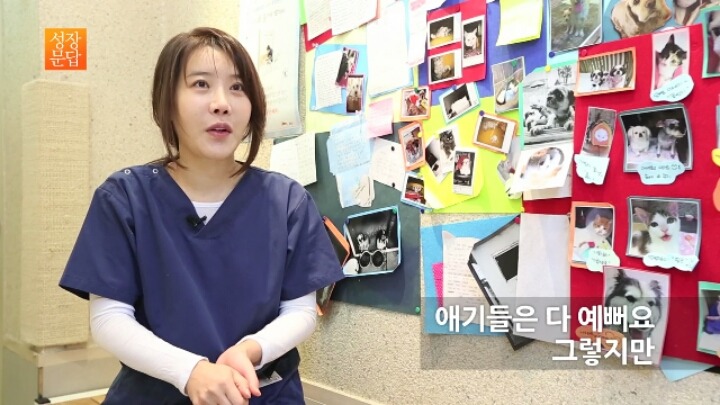 반려동물 키우기를 쉽게 생각하는 사람이 반드시 들어야 할 대답 | 인스티즈