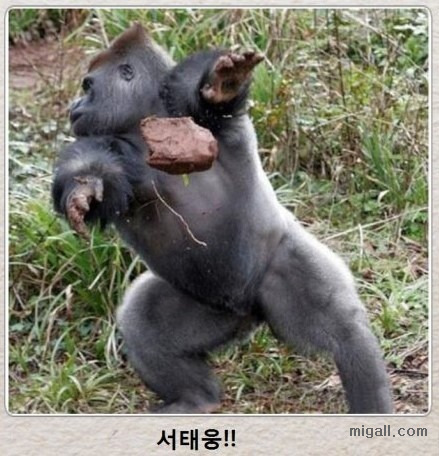 제목학원 레전드.jpg | 인스티즈