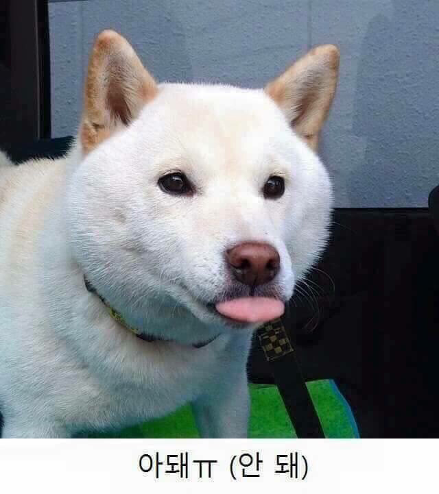 너 이거 됑?? | 인스티즈