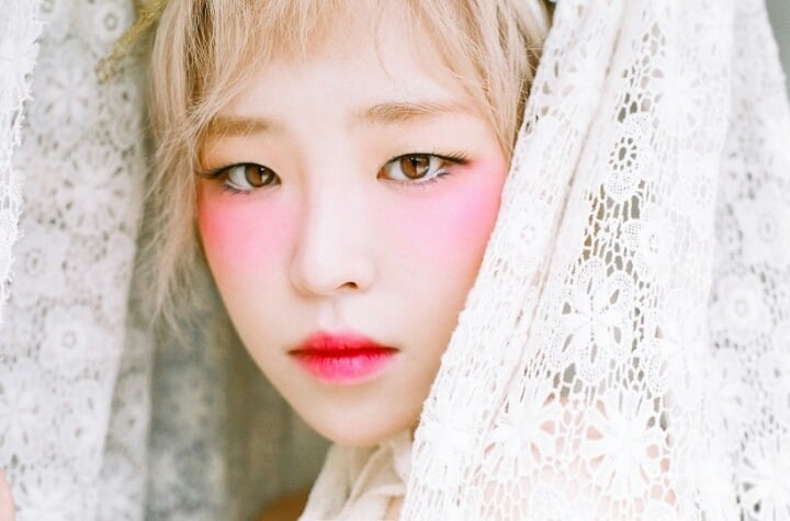 여자연예인으로 보는 북방계와 남방계 | 인스티즈