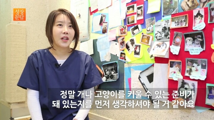 반려동물 키우기를 쉽게 생각하는 사람이 반드시 들어야 할 대답 | 인스티즈